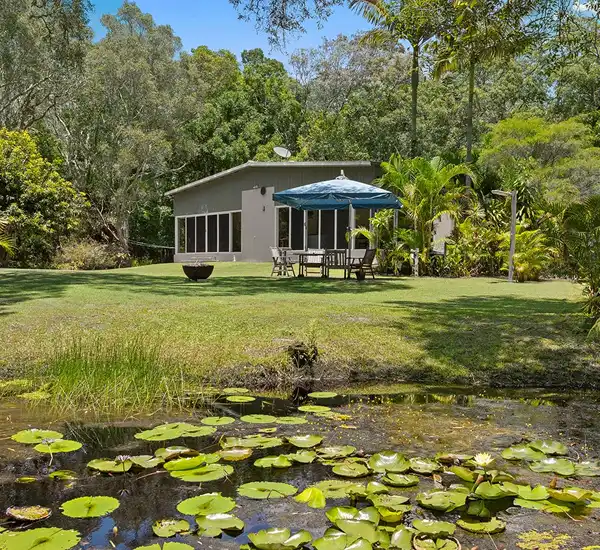 North Shore Investor